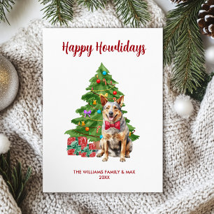 Blue Heeler Dog Familie Weihnachten