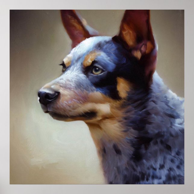 Blue Heeler Dog Poster (Vorne)