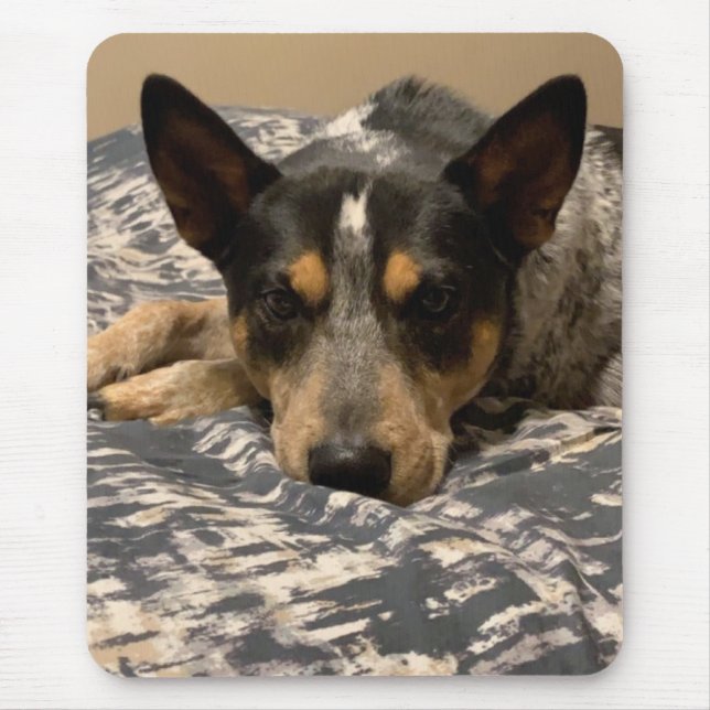 Blue Heeler Mousepad (Vorne)