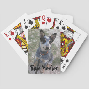 Blue Heeler Spielkartendeck Spielkarten