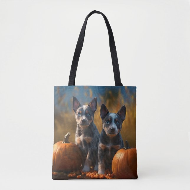 Blue Heeler Welpe Autumn Delight Pumpkin (Vorderseite)