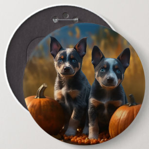 Blue Heeler Welpe Autumn Delight Pumpkin Button