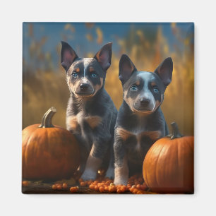 Blue Heeler Welpe Autumn Delight Pumpkin Magnet