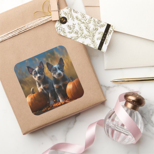 Blue Heeler Welpe Autumn Delight Pumpkin Quadratischer Aufkleber (Schenken)