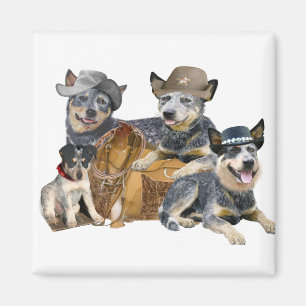 Blue Heeler's Go-Western-Magnete Magnet