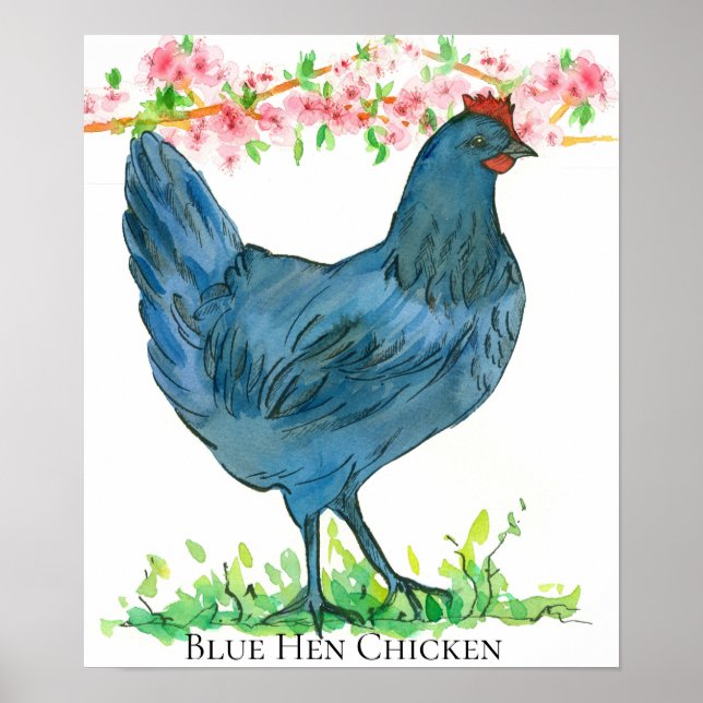 Blue Hen Chicken Staat Bird von Delaware Poster (Vorne)