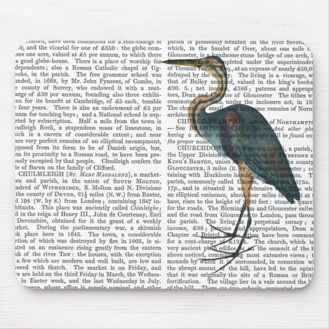 Blue Heron 3 Mousepad (Vorne)