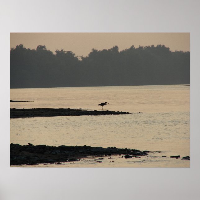 Blue Heron am Mississippi River bei Sunset Poster (Vorne)