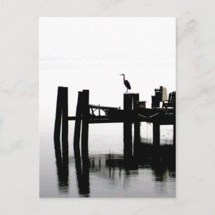 Blue Heron an einem grauen Tag Postkarte