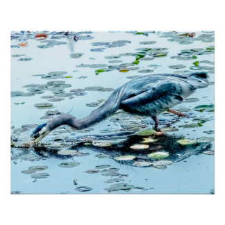 Blue Heron, Angeln für das Abendessen zwischen den Poster