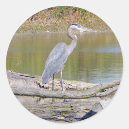 Blue Heron Aufkleber