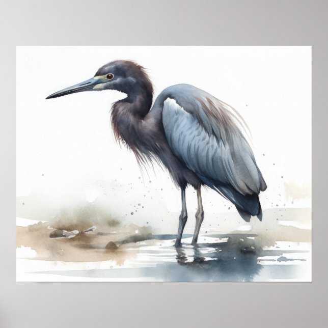 Blue Heron Bird Art Print Poster (Vorne)