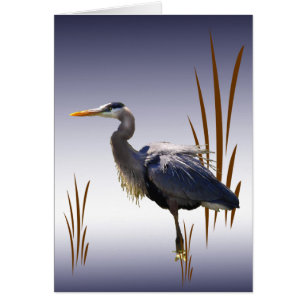 Blue Heron Blank Card