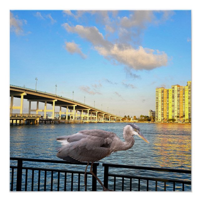 Blue Heron Bridge. Riviera Beach. Florida Poster (Vorderseite)