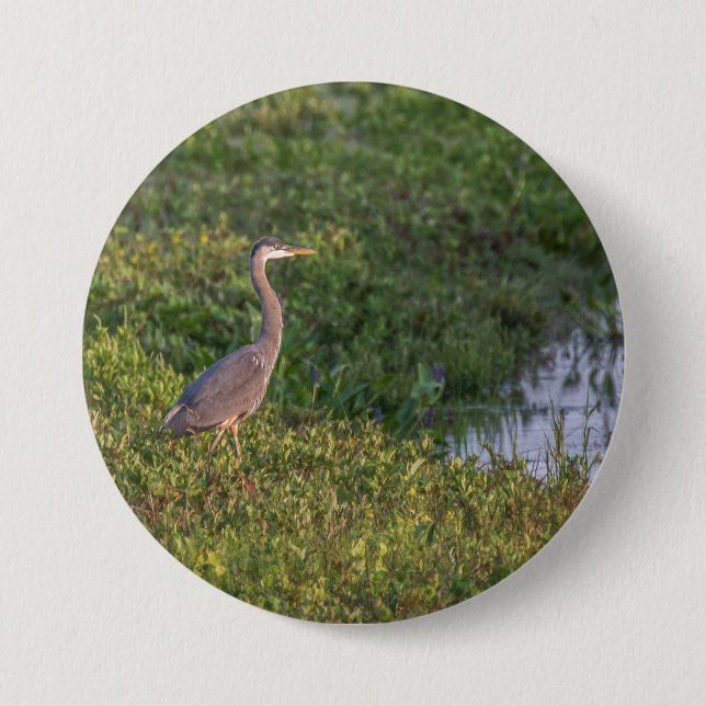 Blue Heron Button (Vorderseite)