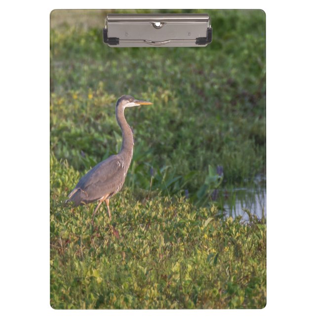 Blue Heron Klemmbrett (Vorderseite)