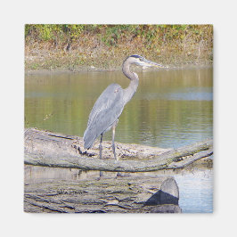 Blue Heron-Magnet Magnet