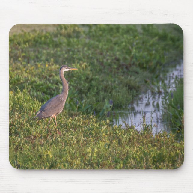 Blue Heron Mousepad (Vorne)