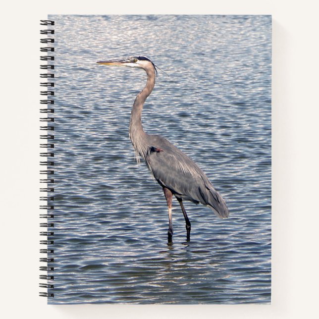 Blue Heron Notebook Notizbuch (Vorderseite)