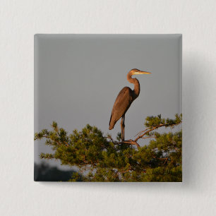 Blue Heron on Tree Oben Button