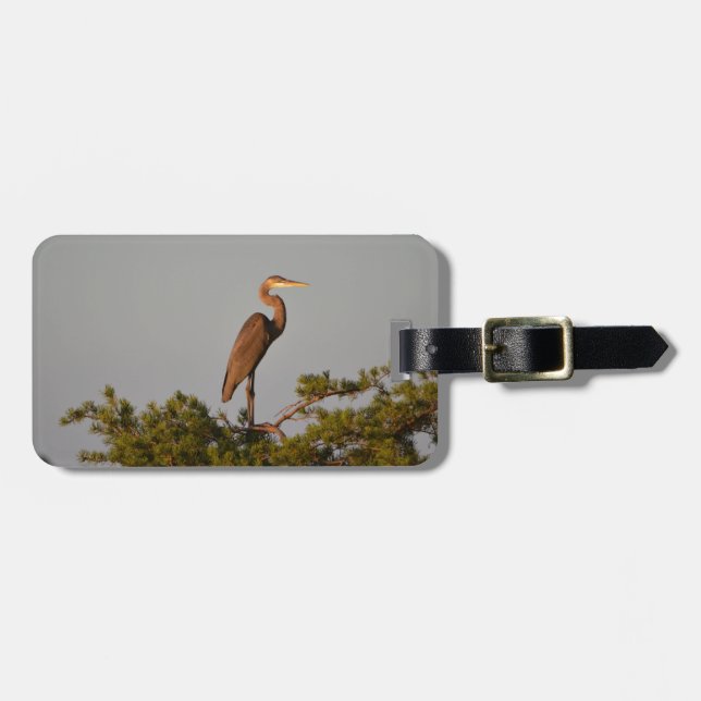 Blue Heron on Tree Oben Gepäckanhänger (Vorderseite horizontal)