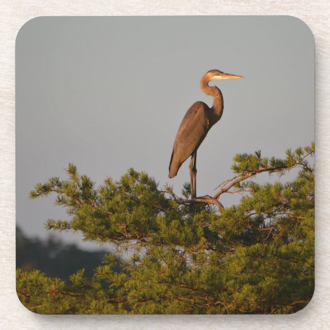Blue Heron on Tree Oben Getränkeuntersetzer (Vorderseite)