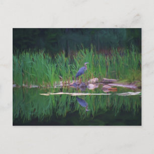 Blue Heron Reflections Tierisches Gemälde Postkart Postkarte