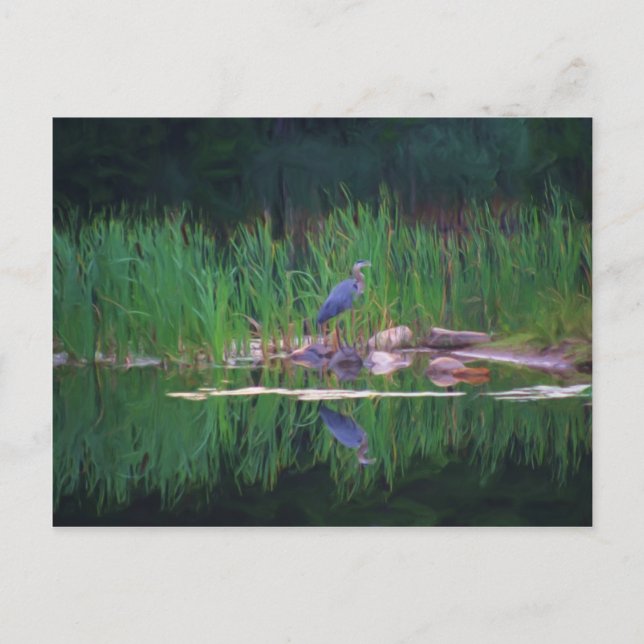 Blue Heron Reflections Tierisches Gemälde Postkart Postkarte (Vorderseite)