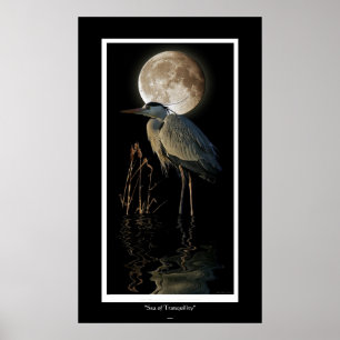 Blue Heroy, Reeds und Moon Art Print Poster