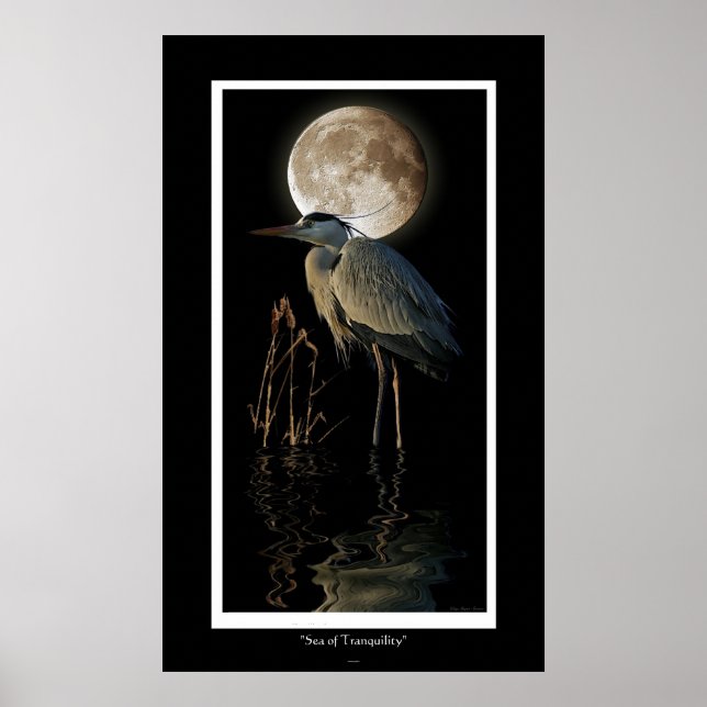 Blue Heroy, Reeds und Moon Art Print Poster (Vorne)