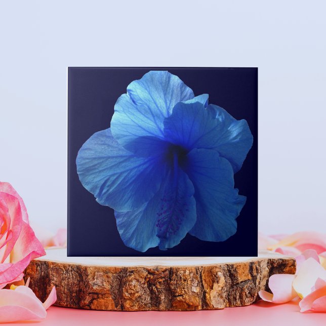 Blue Hibiskus Blume Fliese (Blue Hibiscus Flower Tile)