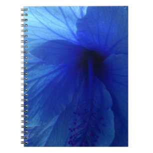 Blue Hibiskus Blume Notizblock