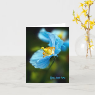 Blue Himalayan Poppy Grußkarte Karte