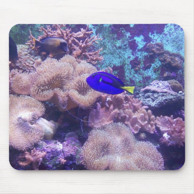 "Blue Hippo Tang Oasis" Maus Pad Mousepad (Vorne)