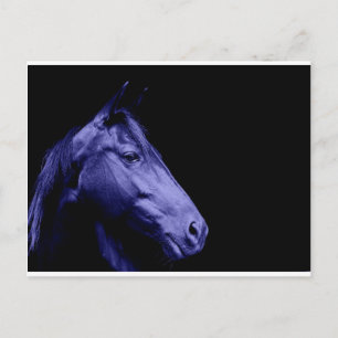 Blue Horse Design Postkarte