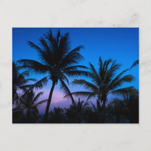 Blue Hour Bliss: Silhouette Palm Trees Postkarte