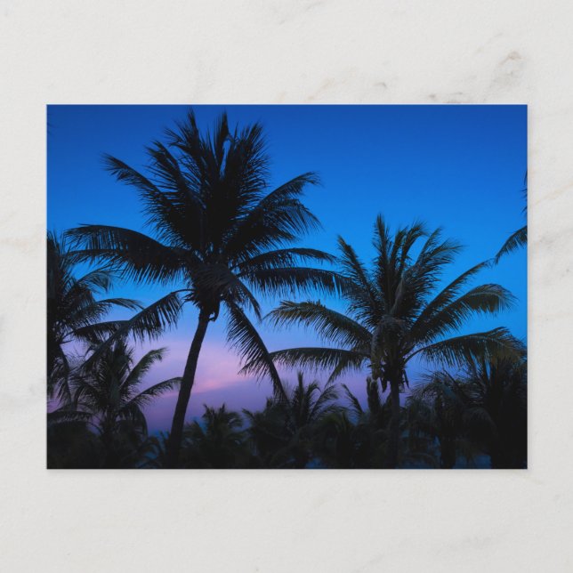 Blue Hour Bliss: Silhouette Palm Trees Postkarte (Vorderseite)