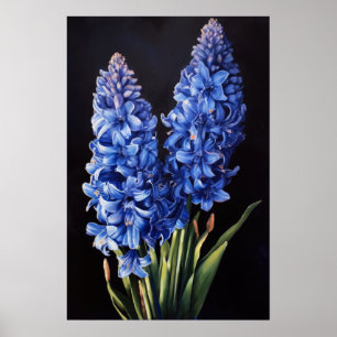 Blue Hyacinth Blume Art Print Poster
