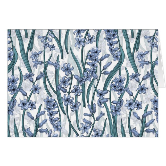 Blue Hyacinth Blume auf weiß (Vorderseite (Horizontal))