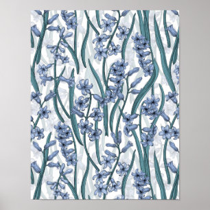 Blue Hyacinth Blume auf weiß Poster