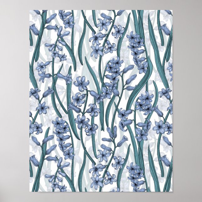 Blue Hyacinth Blume auf weiß Poster (Vorne)