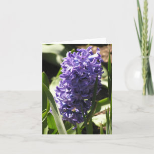 Blue Hyacinth Card Feiertagskarte