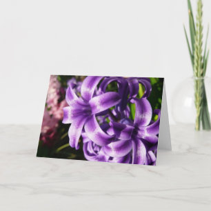 Blue Hyacinth I Spring Floral Karte