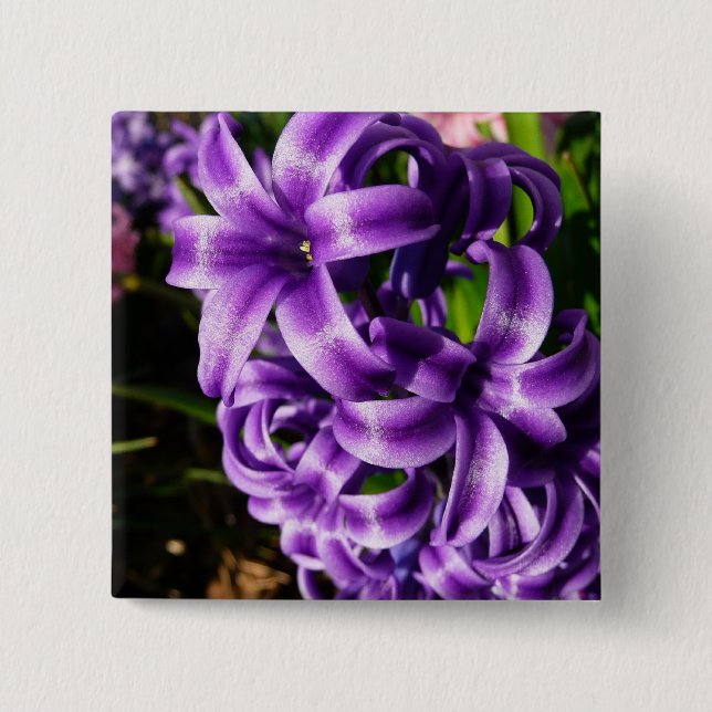 Blue Hyacinth II Spring Floral Button (Vorderseite)