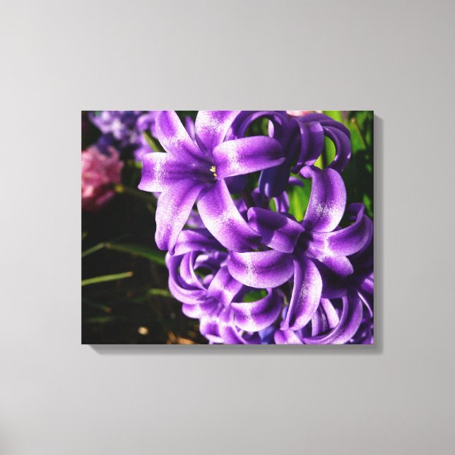 Blue Hyacinth II Spring Floral Leinwanddruck (Vorderseite)