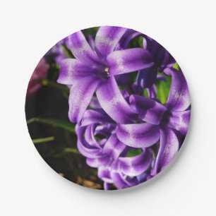 Blue Hyacinth II Spring Floral Pappteller