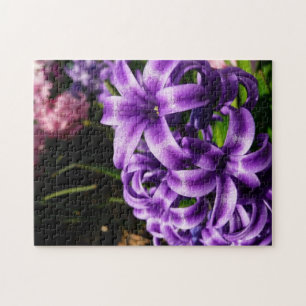 Blue Hyacinth II Spring Floral Puzzle