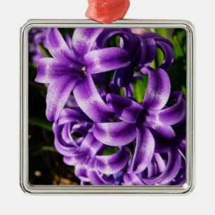 Blue Hyacinth II Spring Floral Silbernes Ornament