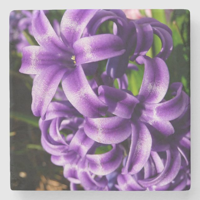 Blue Hyacinth II Spring Floral Steinuntersetzer (Vorderseite)