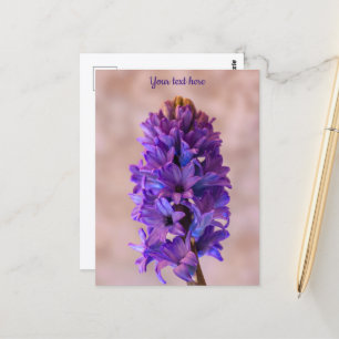 Blue Hyacinth Postcard Postkarte